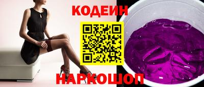 индика Камышлов