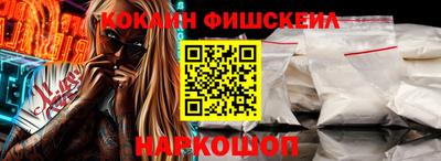 индика Камышлов