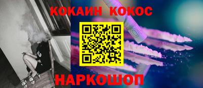 индика Камышлов