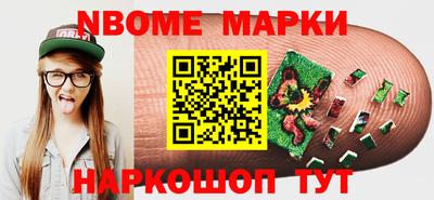индика Камышлов