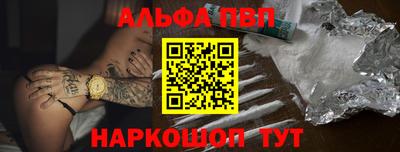индика Камышлов