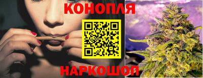 мяу мяу мука Канаш