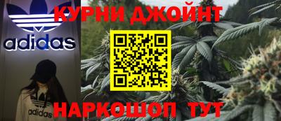 индика Камышлов