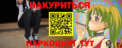 индика Камышлов