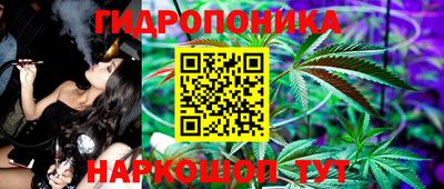 индика Камышлов