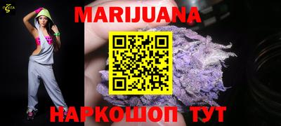 индика Камышлов