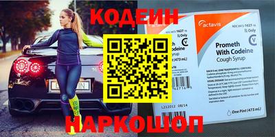 индика Камышлов