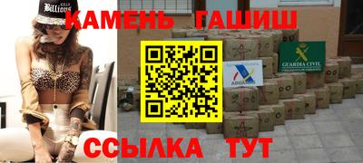 индика Камышлов