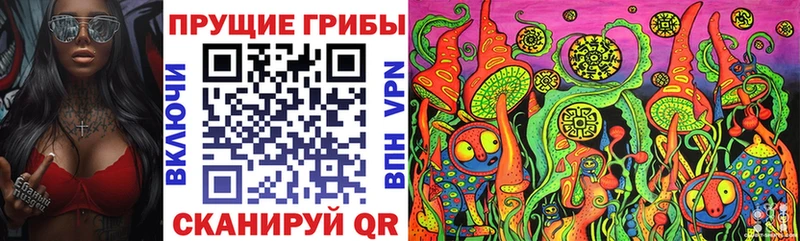 Галлюциногенные грибы Psilocybine cubensis  Холмск 