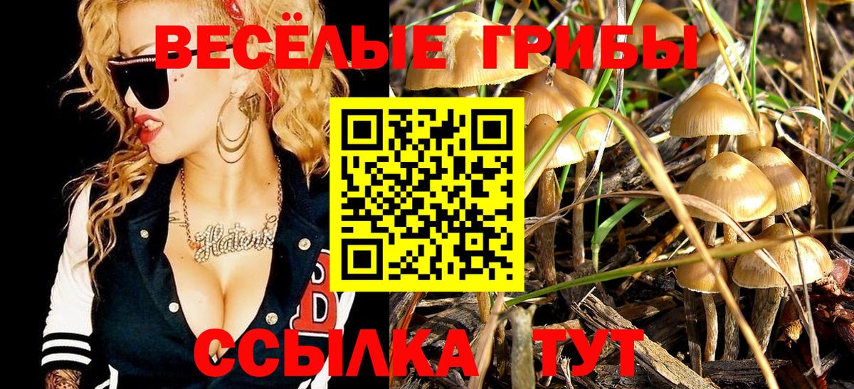 Галлюциногенные грибы мухоморы Холмск